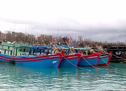 Cứu lấy ngư trường...