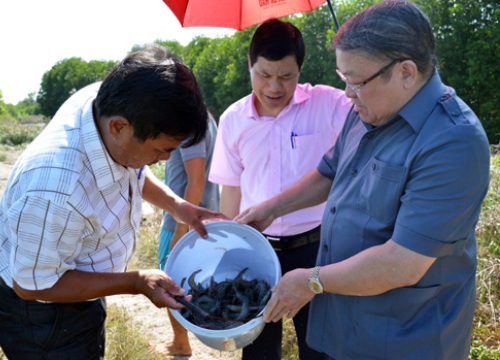 Đại hội Hội ND tỉnh Cà Mau: Huy động nguồn lực hỗ trợ ND