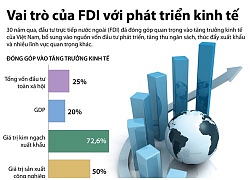 [Infographic] Vai trò của FDI với phát triển kinh tế