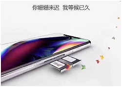 iPhone 2 SIM được xác nhận bởi nhà mạng China Telecom và China Mobile