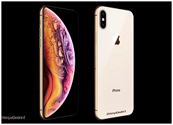 iPhone mới chưa ra mắt, dân buôn VN đã tuyển quân xếp hàng