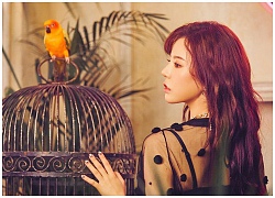 Nhờ màn debut cùng OH!GG, netizen gật gù thừa nhận: Sunny xứng tầm làm giọng hát chính của SNSD!