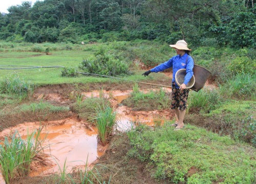 Nước suối đổi màu, lãnh đạo Công ty Nhôm nói chỉ là nước rửa quặng