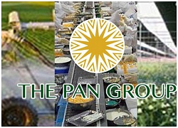 PAN Group chốt phương án chào bán riêng lẻ gần 15 triệu cổ phiếu cho Sojitz Corporation