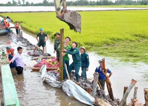 "Quay cuồng" với lũ... bất thường