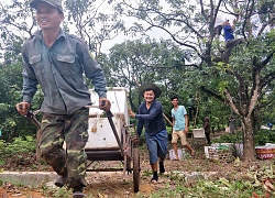 Thủ phủ nhãn lồng Hưng Yên tấp nập xe tải "ăn" hàng, giá tăng cao