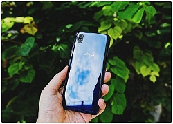 Vivo V1730EA sử dụng màn hình OLED, camera kép, được chứng nhận TENAA