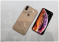 1 quả thận mua được bao nhiêu iPhone XS Max mới nhất tại Việt Nam?