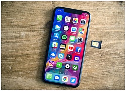 Doanh thu iPhone có thể đạt 100 tỷ USD vào cuối năm nay nhờ các mẫu máy mới ra mắt