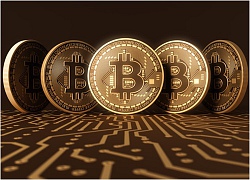 Giá Bitcoin hôm nay 14/9: giá các đồng tiền mật mã đang tăng nhẹ