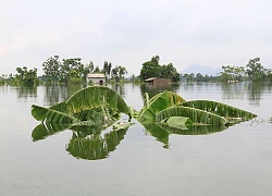 Hà Nội dốc toàn lực ứng phó với siêu bão Mangkhut