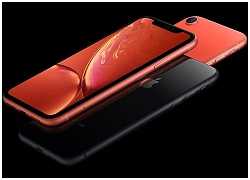 iPhone XR: 2 SIM, LCD 6"1, nhiều màu, chip A12 Bionic, giá rẻ