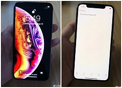 iPhone Xs lộ ảnh trên tay trước giờ G, hóa ra hình nền mới là để che tai thỏ