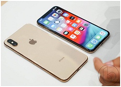 'iPhone XS Max giá trên 40 triệu vẫn sẽ cháy hàng tại Việt Nam'