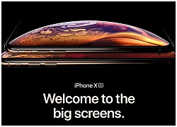 iPhone Xs/ Xs Max: 2 SIM, OLED 5.8&#8243; / 6.5&#8243;, 3 màu, bộ nhớ 512GB, chip A12 Bionic