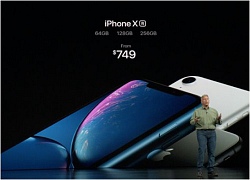 Lý do thật sự khiến Apple và Tim Cook quyết định làm iPhone XR