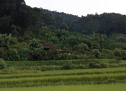 Mẹ bác sĩ giết vợ, phi tang xác:'Hải khao khát có một đứa con, nhưng...'