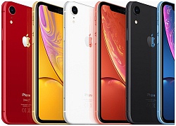 Ngạc nhiên chưa? Không phải iPhone XS Max, mà iPhone XR mới là smartphone có pin trâu nhất