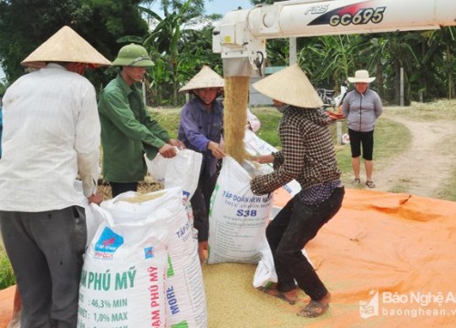 Thi hành kỷ luật 92 đảng viên ở huyện Thanh Chương