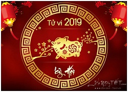 Tử vi tuổi Hợi năm Kỷ Hợi 2019: Đương đầu Thái Tuế, họa phúc khôn lường