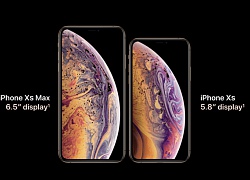 Vừa ra mắt, iPhone Xs đã trở thành trung tâm của vũ trụ ảnh chế