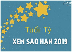 Xem sao hạn 2019 tuổi Tý: Chi tiết các tuổi Canh Tý, Mậu Tý, Giáp Tý, Nhâm Tý, Bính Tý