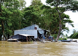 'Chòng chành' đường đến trường của học sinh vùng lũ An Giang