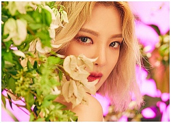 Cư dân mạng bày tỏ mong muốn SNSD hãy sớm rời khỏi SM sau khi Hyoyeon like một bình luận chỉ trích công ty trên Instagram