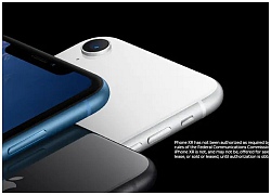 Đã ra mắt nhưng iPhone XR vẫn chưa đạt chứng nhận FCC, nguyên nhân là vì... "tai thỏ"!