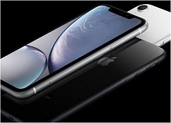 Đây là lý do tại sao iPhone Xr bị trì hoãn đến tháng 10