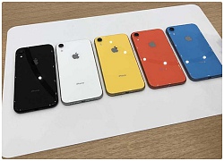 Điều gì sẽ giúp iPhone XR tạo nên cơn sốt khi về tới thị trường Việt?