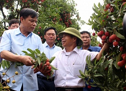 Doanh nghiệp, doanh nhân là hạt nhân trong tái cơ cấu nông nghiệp