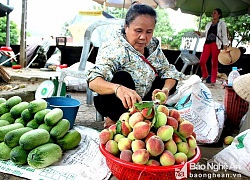 La liệt đặc sản rừng: Chuột, nòng nọc, ấu trùng... ở chợ vùng cao