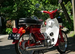 Ngắm huyền thoại Honda Cub 40 năm vẫn mới, đẹp lung linh