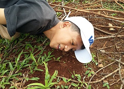 Nghe siêu hạng