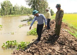 Sau sự cố vỡ đê, nông dân Đồng Tháp như 'ngồi trên đống lửa'