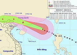 Siêu bão Mangkhut gây mưa to nhiều nơi