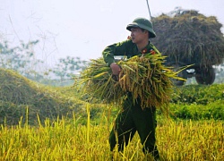 Trữ lương thực, hàng thiết yếu tại khu vực có nguy cơ bị chia cắt