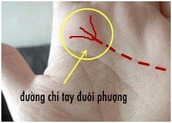 3 đường chỉ tay may mắn đem lại phú quý giàu sang khi về già