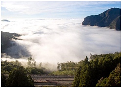 Alishan Railway - chốn bồng lai tiên cảnh cho kẻ lữ hành mộng mơ