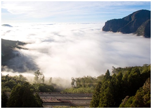 Alishan Railway - chốn bồng lai tiên cảnh cho kẻ lữ hành mộng mơ