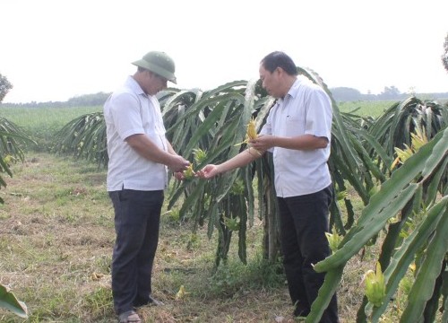 Đảng bộ huyện Yên Định: Giám sát mở rộng, kiểm tra có trọng tâm, trọng điểm