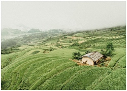 Ghé Hà Giang mùa lúa chín, chiêm nghiệm cuộc sống bình dị