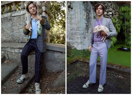 Harry Style hạ gục mọi ánh nhìn trong Gucci's Cruise 2019 Tailoring Campaign