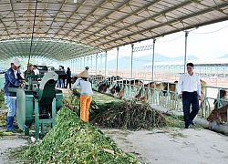 Hoàng Anh Gia Lai (HAG) đăng ký mua 24 triệu cổ phiếu HNG