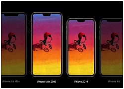 HOT: iPhone 2019 sẽ có tai thỏ nhỏ gọn hơn