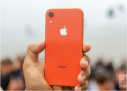 iPhone Xr sẽ có doanh số cao hơn cả kỳ vọng ban đầu