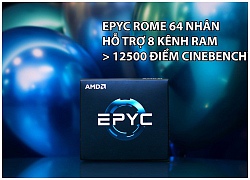 Lộ điểm Cinebench của AMD EPYC Rome 7 nm: CPU đa nhân mạnh nhất từ trước đến nay?