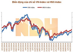 Nhận định thị trường ngày 21/9: 'Biến động mạnh'