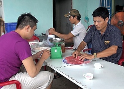 Nuôi nai bán nhung, nhiều hộ nhanh sung túc